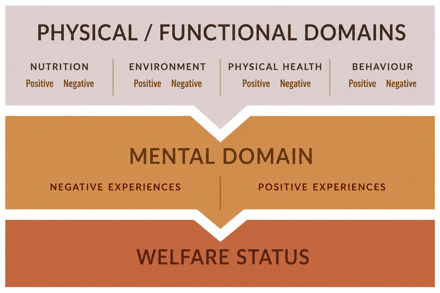 5 Domain