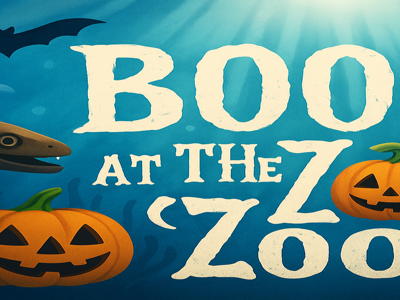 Boo At The Zoo Resized 1920X600 (1)