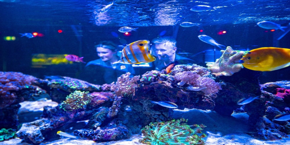 Hobart Zoo Banner2 1600X900