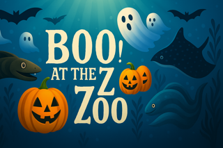 Boo At Ttj