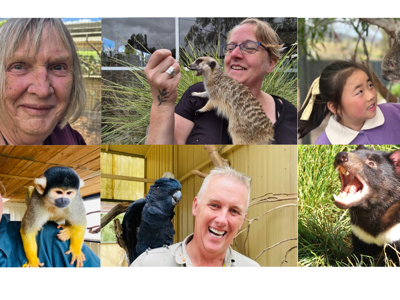 Home Page Animal Encounter