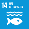 E WEB Goal 14