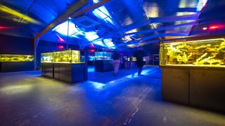Hobart Zoo Aquarium Banner Aquariumhall 1600X900