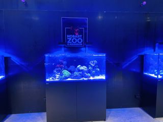 IMG 8833