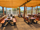 Festive Zoo Picnic Terrace