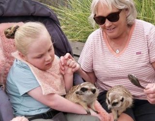 620Wider Wheelchair Meerkats