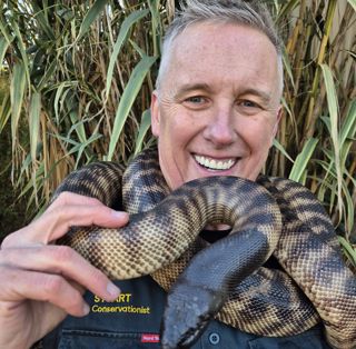 Black Headed Python