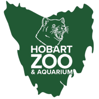 Untitled Logo Removebg Preview