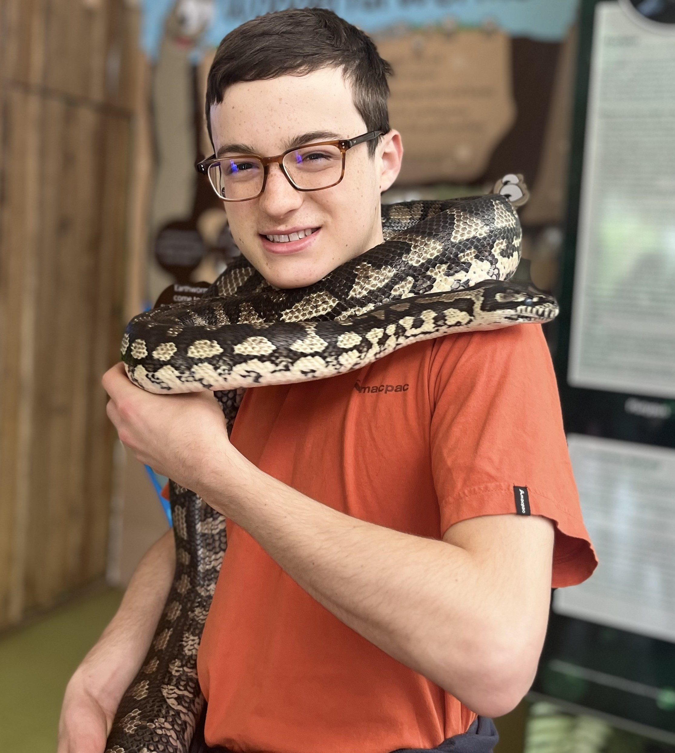 Slithering Snakes - Daily Presentation