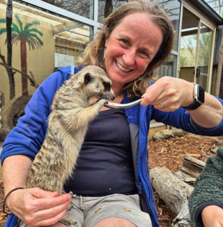 Bindy Meerkat