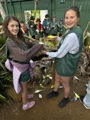IMG 1308 Copy