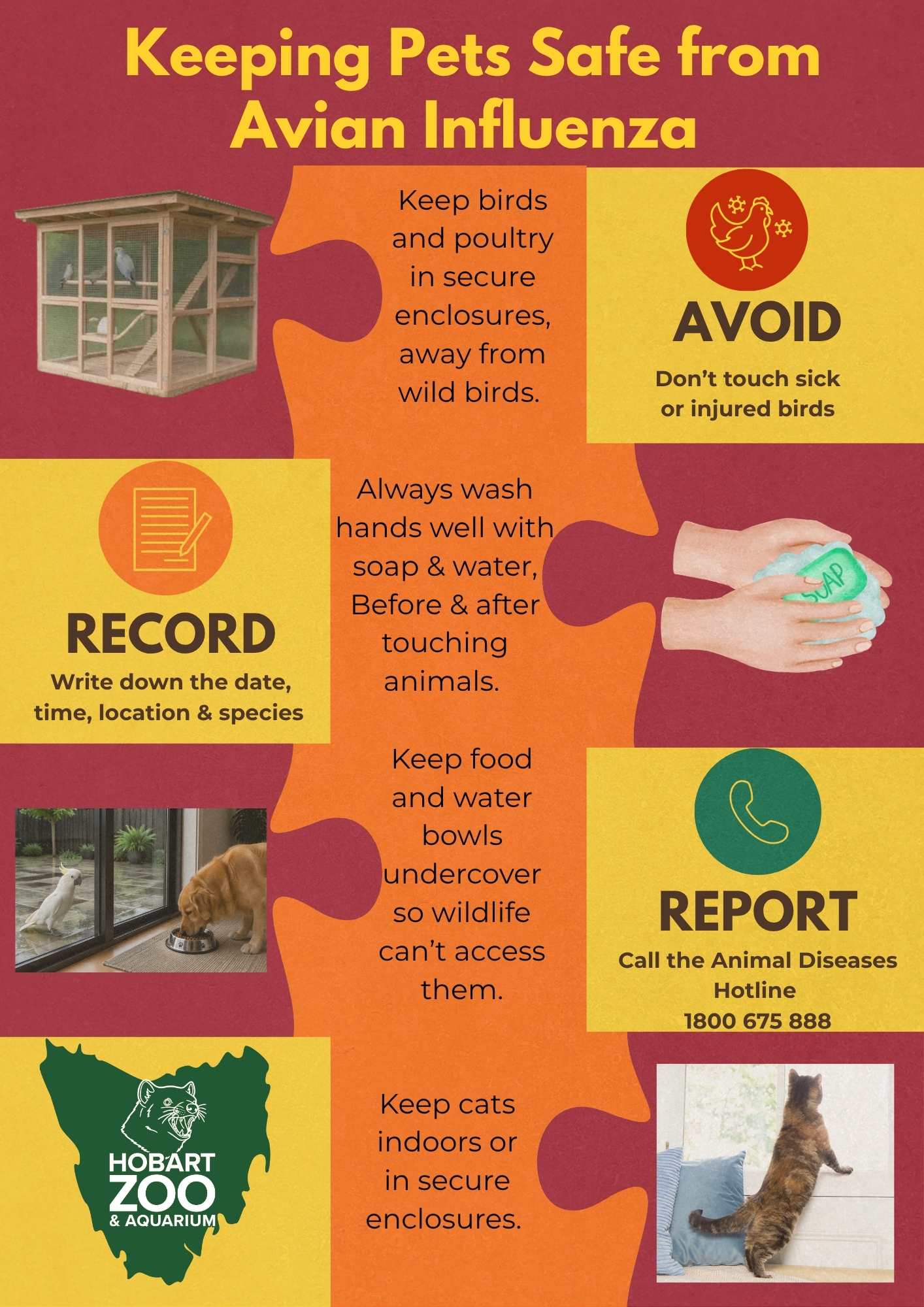 Keeping pets safe from Avian Influenza poster